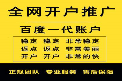 竞价排名在搜索引擎营销中的运用案例